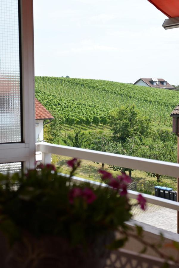 Ferienwohnung Lakewinds Meersburg Exteriör bild