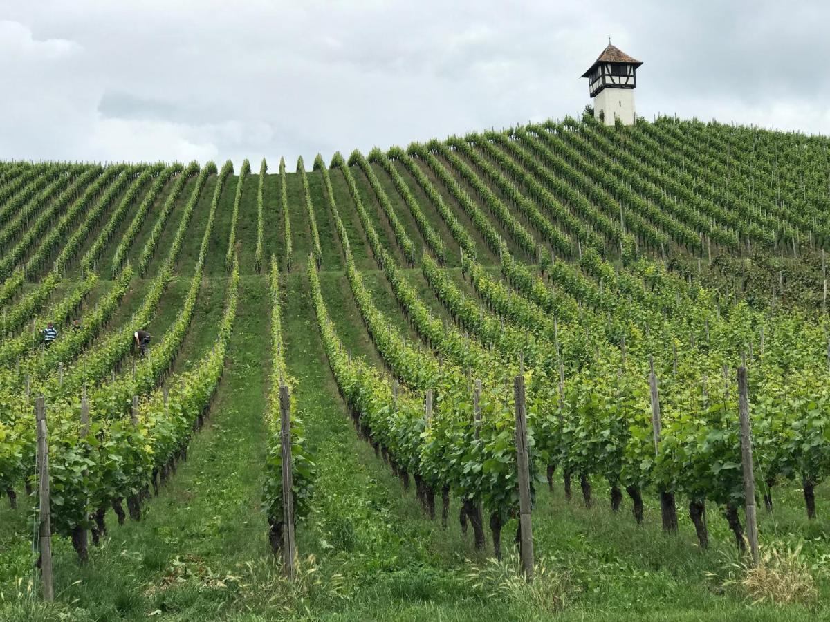 Ferienwohnung Lakewinds Meersburg Exteriör bild